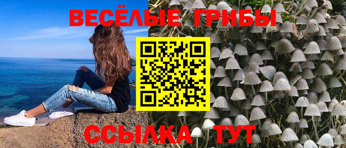 Абинск  Галлюциногенные грибы GOLDEN TEACHER  Вход с VPN 